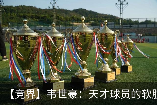 【竞界】韦世豪：天才球员的软肋 洪七公效应的外溢